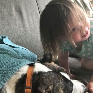 Meet your Posher, Bailey